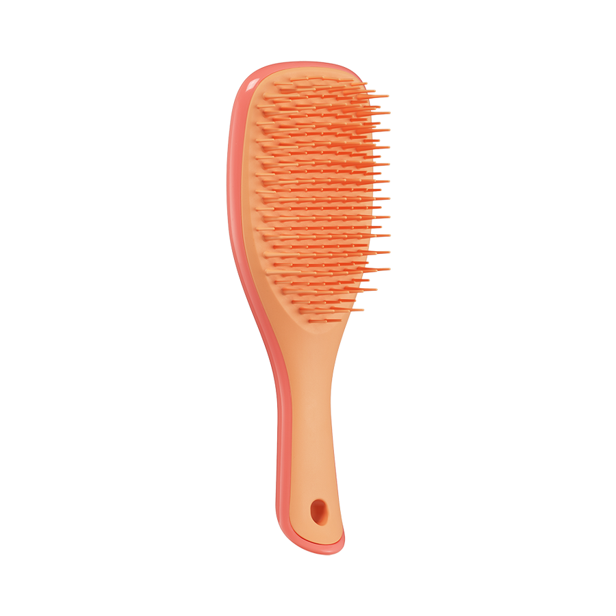Щітка для волосся Detangler Mini Salmon Pink& Apricot 