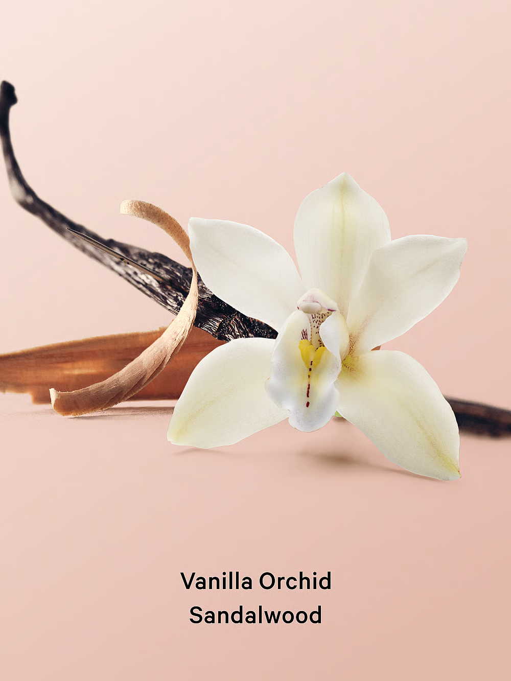 Міст 236 мл Natural Victoria’s Secret Vanilla Orchid&Sandalwood