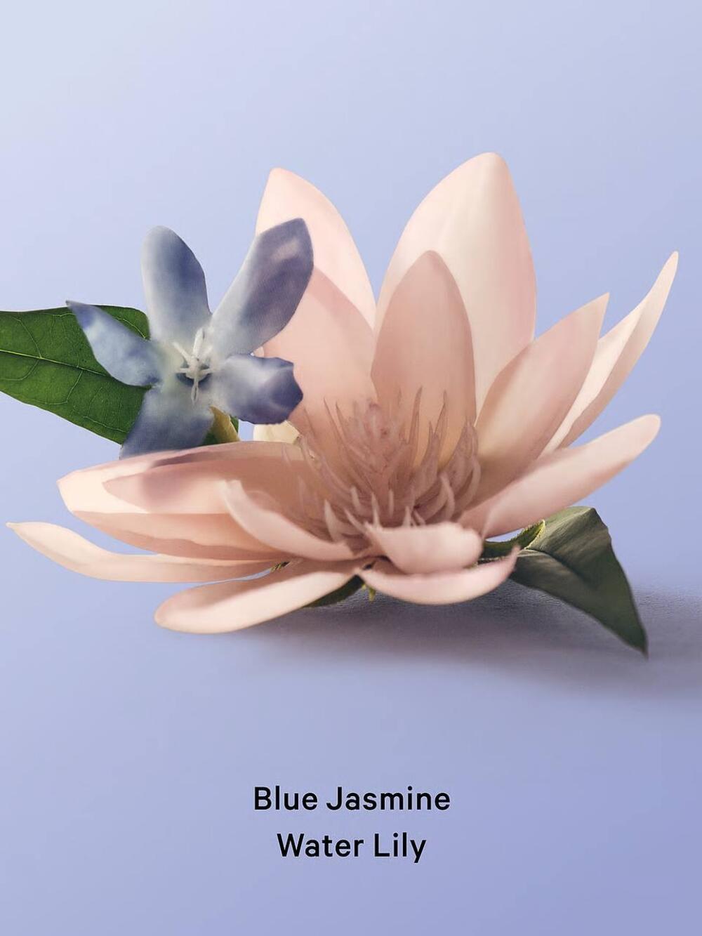 Міст 236 мл Natural Victoria’s Secret Blue Jasmine&Water Lily