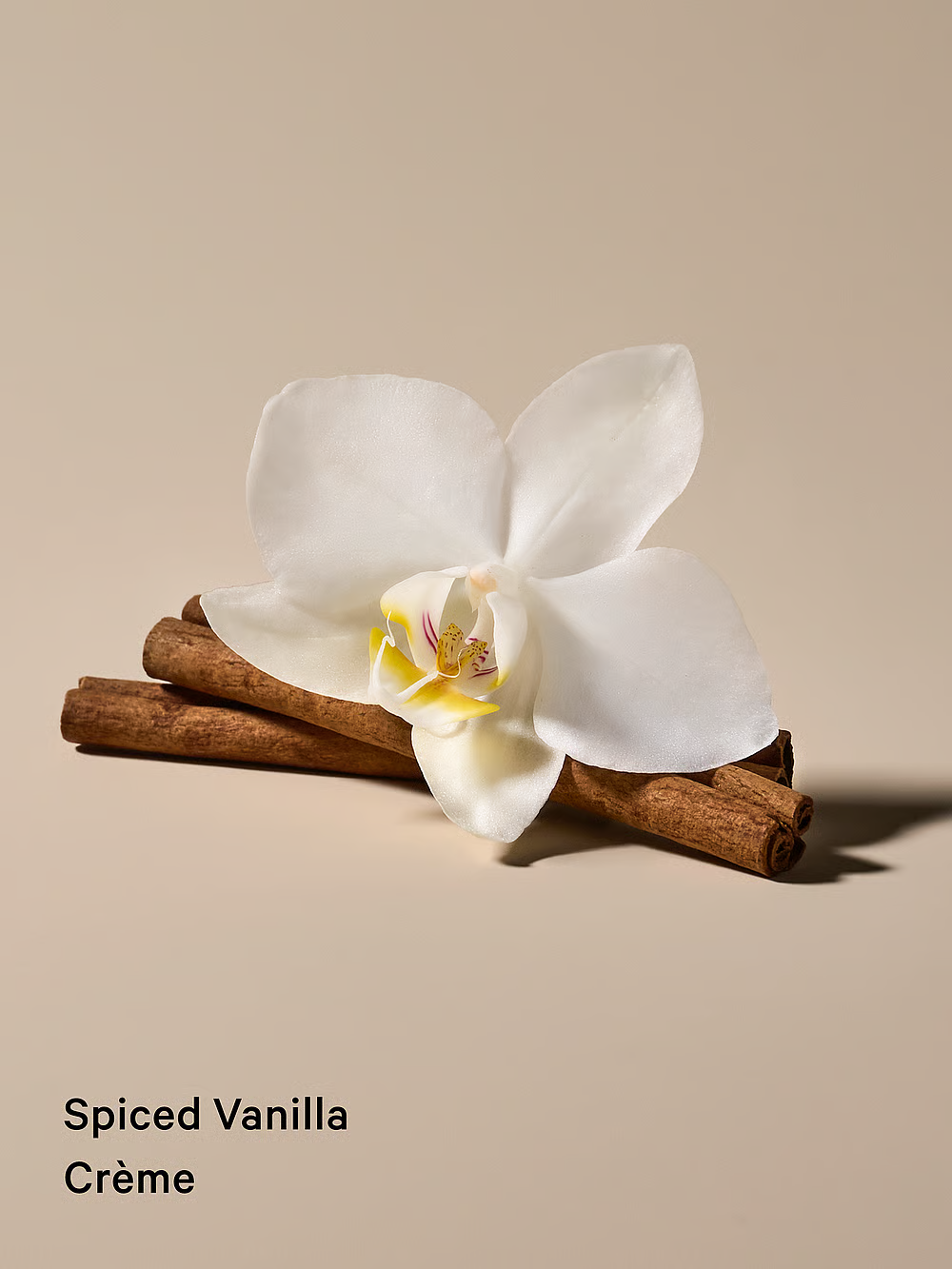 Міст 236 мл Natural Victoria’s Secret Spiced Vanilla Crème